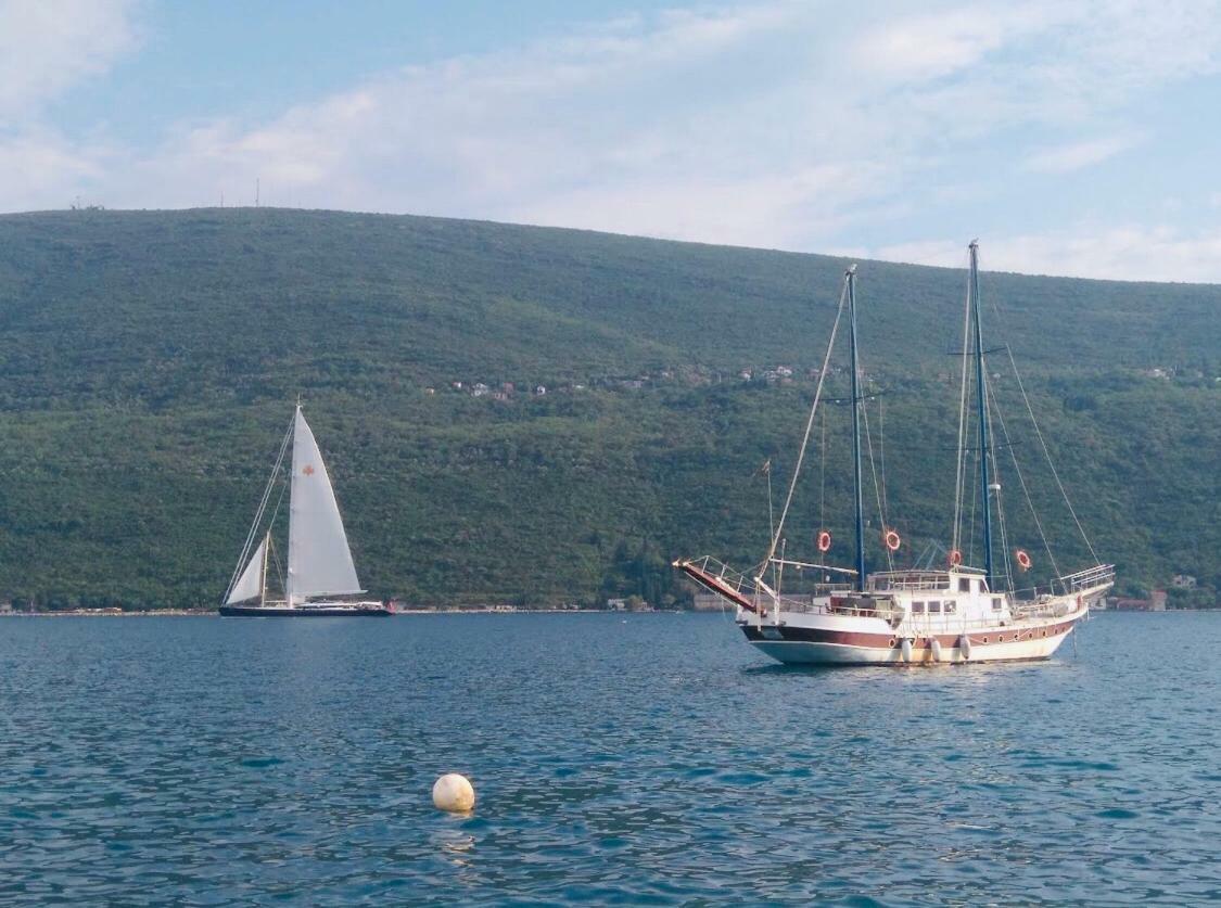 فندق Vila Duricic 300M Od Mora Ðenovići المظهر الخارجي الصورة